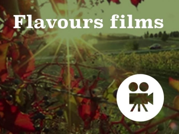 Watch our Italian holiday videos.