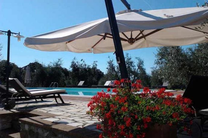 Inspiring image of flowers in the sun with pool in background