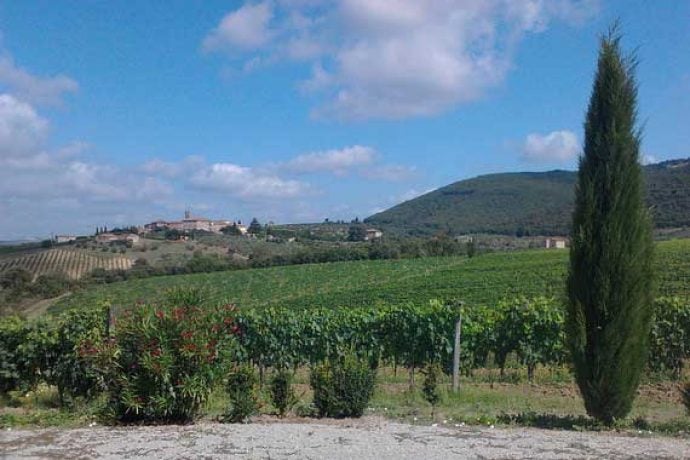 view of Tuscany vineyards and hills