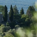 scenic view of siena's historical centre