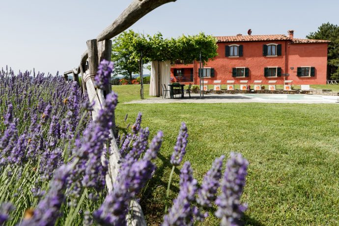 Painting Holidays in Bologna Gallery 1