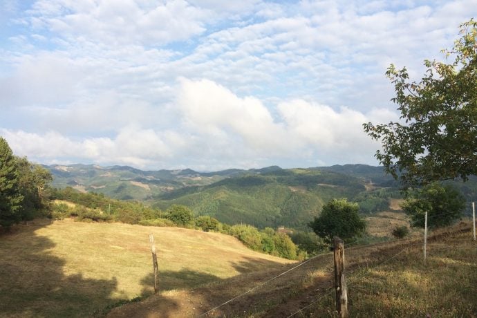 Painting Holidays in Bologna Gallery 5