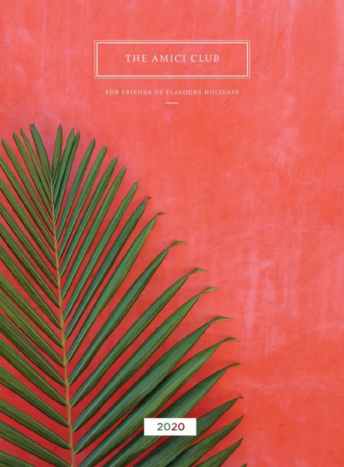 Amici Brochure Cover