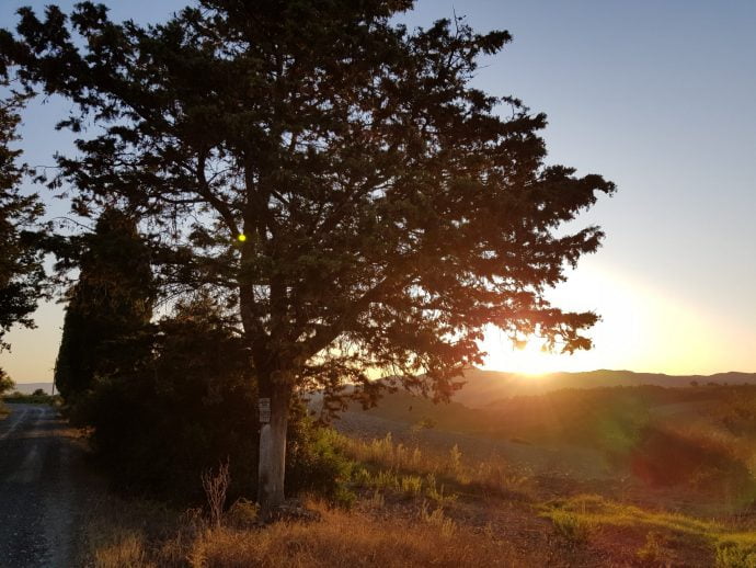 Sun setting behind a valley with a tree in the foreground